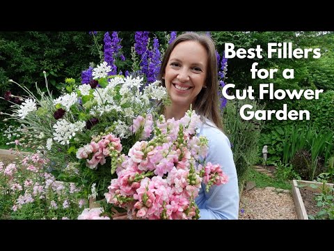 Best Fillers for a Cut Flower Garden!!! 🌸💐✂️ // Northlawn Flower Farm