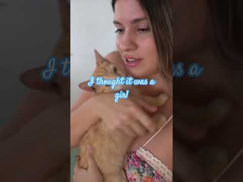 Surprise! It’s a boy 🩵👦