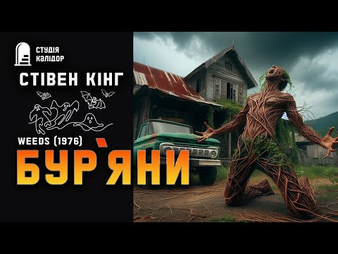 Стівен Кінг БУРʼЯНИ #жахи #кінг #стівенкінг #аудіокнигиукраїнською #химерне #містика #вторгнення