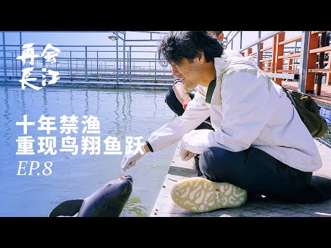 A Japanese Director's Breathtaking Experience at Three Gorges Dam in China