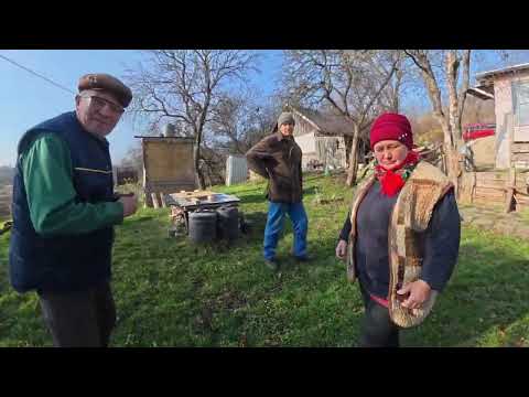 Cleaning the well SNAILS The water smelled #cleaningthewell
