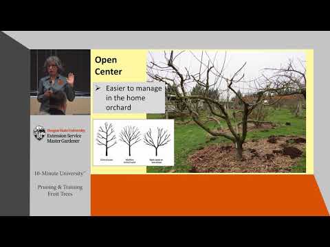 Pruning Fruit Trees - OSU Master Gardeners