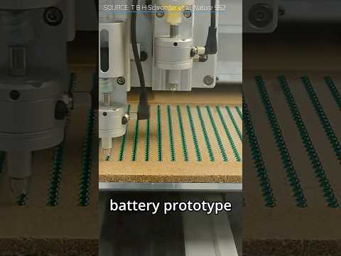 Electric Eel Batteries?