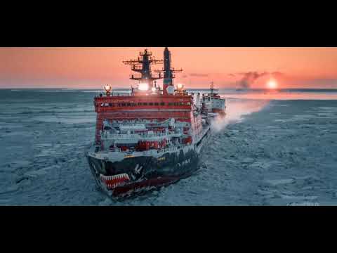 30 Minutes of Your Daily Dose of Internet #8