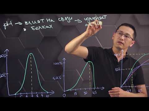 Factors and conditions affecting enzyme activity. Grade 10.