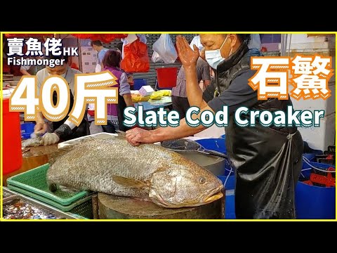 Chopping 24kg Slate Cod Croaker, Fish Maw worths USD1,300 【OH! Seafood 4K】