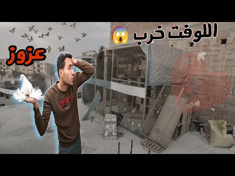 لوفت الزاجل باظ بسبب الهوا 😱واخيرا عزوز ظهر (يوم بهدله)