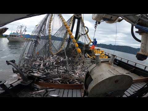 Salmon Fishing in Alaska - Big 20k lb Set !
