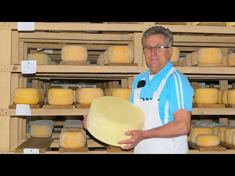 A bre Bosanac kakav ti je ovo sir