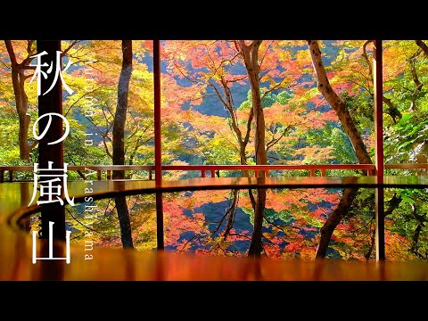 【保存版】まるで絵画のような京都 絶景紅葉20選🍁嵐山編
