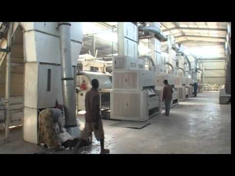 CISANET Video