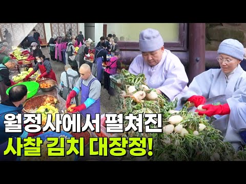 新VJ특공대: 천 년 고찰 월정사 김장하는 날 [2TV 생생정보] | KBS 251105 방송