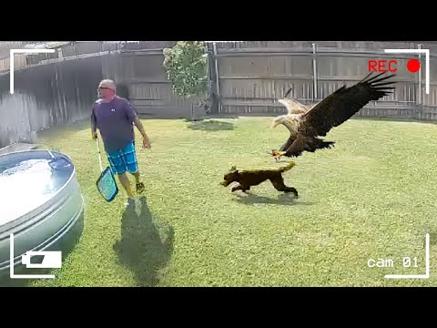 50 Incredible Moments Caught on CCTV Camera