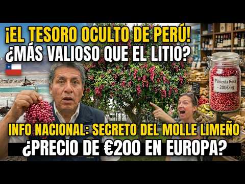 ¿Por qué el Molle, tesoro oculto de Perú, vale más que el litio de Chile?