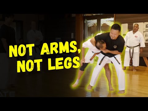 Karate Throws & Core Power | Unlocking True Body Mechanics
