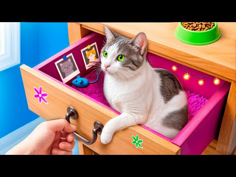 Строим секретную комнату в шкафу! Секретный домик для кота!