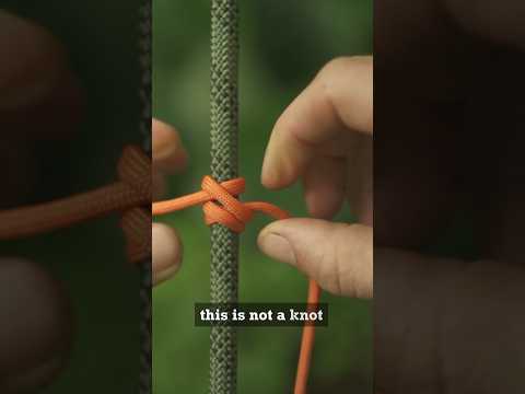 It’s not a knot..It’s BETTER