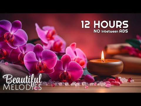 🌿 Spa Relaxation No Ads | Massage Music for Body & Mind, Calming Atmosphere & Healing Sounds 🌊