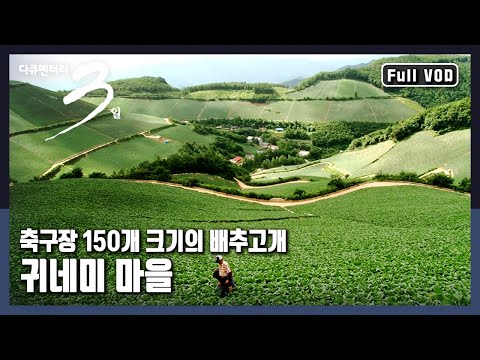 [다큐3일★풀버전] 해발 1천m, 깊은 산속 230만 포기의 거대한 양의 배추 수확 "배추고개 귀네미마을의 여름나기"  (KBS 20100822 방송)