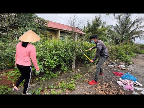 She Wants Restoration transformation cleaning mowing fence garden overgrown grass