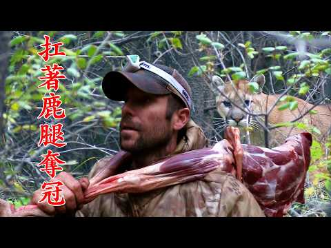 荒野獨居第八季冠軍篇，40分鐘萬字詳細精講，狩獵灰熊和山獅，扛著上百斤鹿腿拿下50萬獎金！