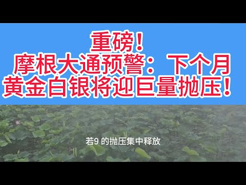 摩根大通最新报告预警：600亿资金即将撤离，1月技术性抛压风暴来袭！