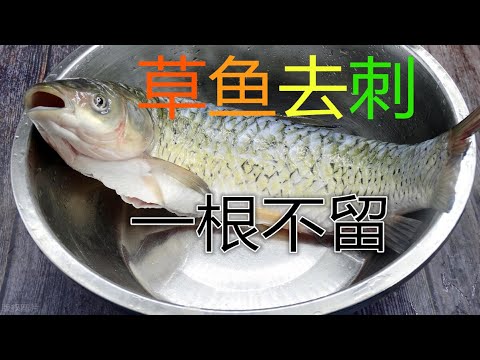 原來草魚去刺這麼簡單，3分鐘彻底去除乾淨，一根不留，吃鱼像吃豆腐一樣放心