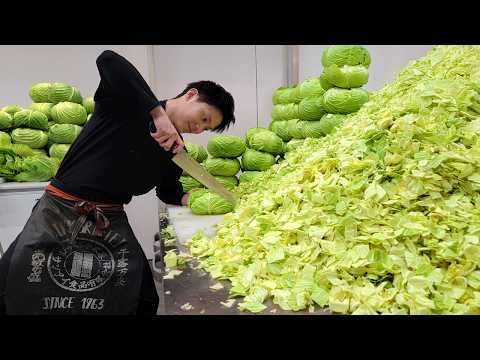 Fukuoka's #1 Soul food! They just KEEP coming back for more!