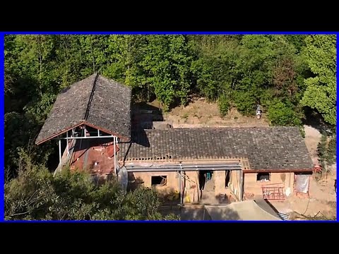 Skilled workers renovate the old house in the countryside with wood paneling