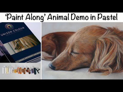 Dog Portrait of Sleeping Dachshund using Unison Animal Set: 'Paint Along' Full Demo