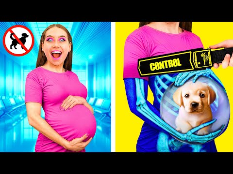 Sneak Pets Into The Plane | Funny Pet Pranks by PaRaRa Challenge