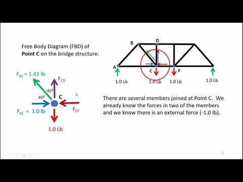 Balsa Wood Bridge Testing