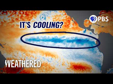 The Entire Pacific SHOULD Be Warming, But It's Not!