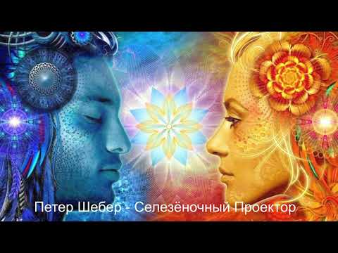 Петер Шебер о Селезеночных Проекторах