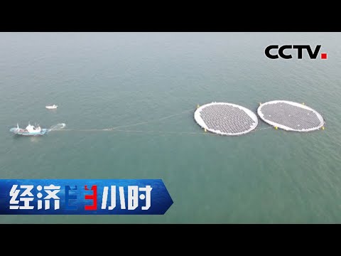 天南地北“种太阳”,中国开启海上光伏时代 「经济半小时」20221227 | CCTV财经