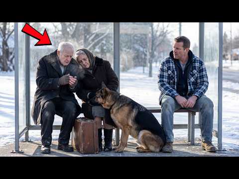 Christmas Eve, a Veteran Saw an Elderly Couple Left Behind — What His Dog Led Him to Do Shocked All