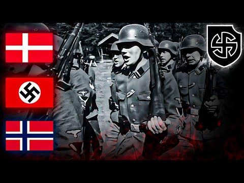 La Historia Completa de la 5ª División SS Wiking | Documental Segunda Guerra Mundial