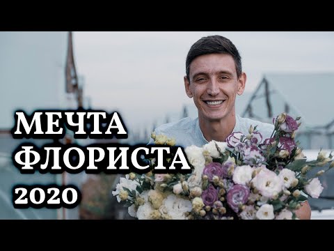 Мечта флориста - цветок который набирает популярность // Выращивание цветка на продажу