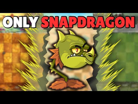 Can A MAX Level Snapdragon Solo ALL of PvZ2?