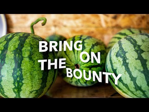 What to Do in Winter for Earlier Summer Harvests