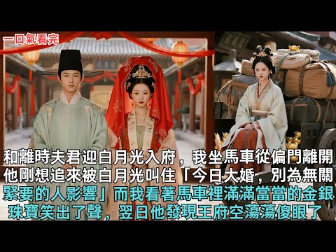 和離次日夫君迫不及待迎娶白月光入府，我坐馬車從偏門離開。他剛想追來，卻被白月光叫住「今日我們大婚，別為無關緊要的人壞心情」而我看著馬車裡滿滿當當的金銀珠寶笑出了聲，翌日他發現王府空蕩蕩傻眼了 #古言