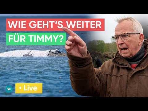 LIVE: Pressekonferenz zur Wal-Rettung: Backhaus gibt Timmy-Update