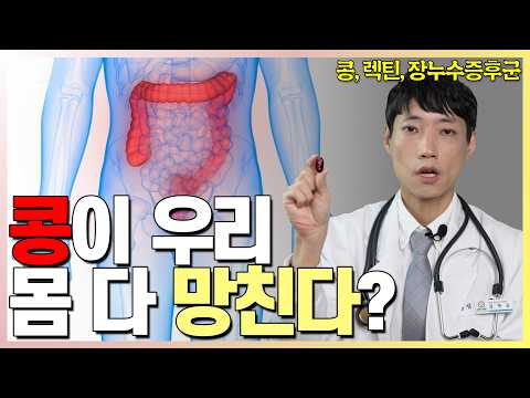 콩밥, 두부 진짜 몸에 해로운가? l 콩, 피틴산, 렉틴, 장누수증후군 l 닥터딩요