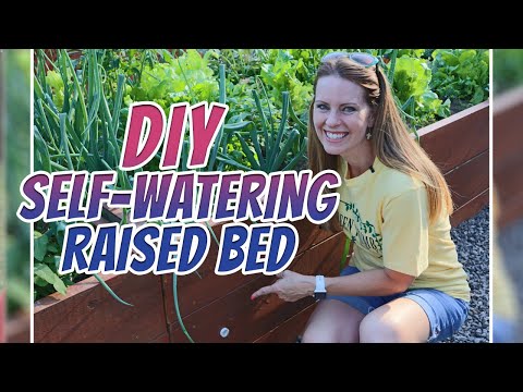 DIY Self Watering Raised Beds/Green Thumb Nursery