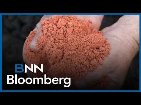 'If you could try to make a nightmare scenario for fertilizer, we're living that today': Linville