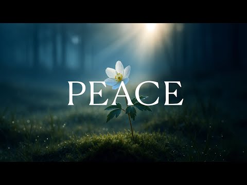 24/7 LIVE: Soaking Worship Instrumental Music (No Ads) — Prayer, Study, Sleep