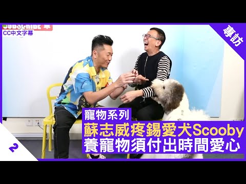 照顧毛孩一生一世 女兒及早學習生死觀 寵物活動需空間 - 鄭丹瑞《健康旦》#蘇老闆 #寵物系列 Part 2 (CC中文字幕)