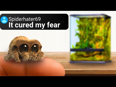 I Built a Forest For The Cutest Spider...