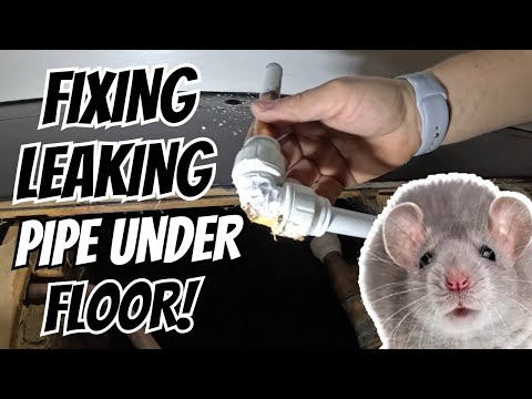 Fixing leaking pipe under floor!