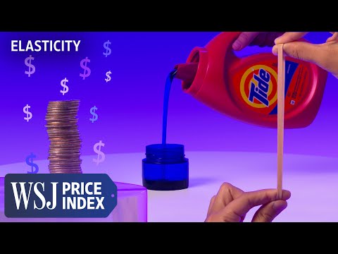 Elasticity: The Economic Concept Behind How Companies Price Products | WSJ Price Index